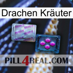 Drachen Kräuter 37